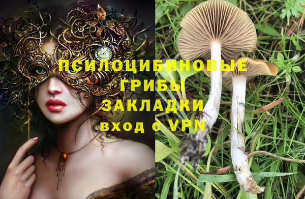 трава Дмитров
