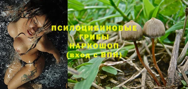 трава Дмитров