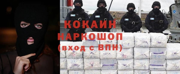 индика Гусь-Хрустальный