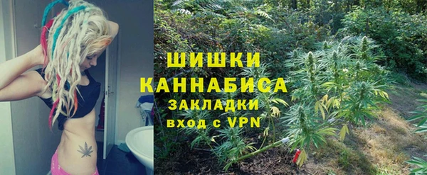 индика Гусь-Хрустальный