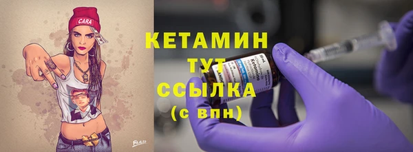 индика Гусь-Хрустальный