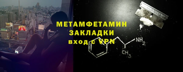 индика Гусь-Хрустальный