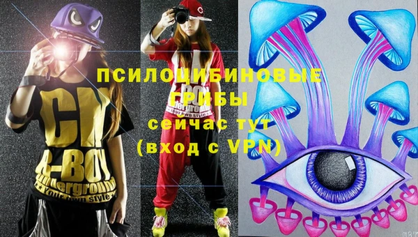 трава Гусев