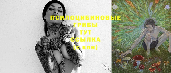индика Гусь-Хрустальный