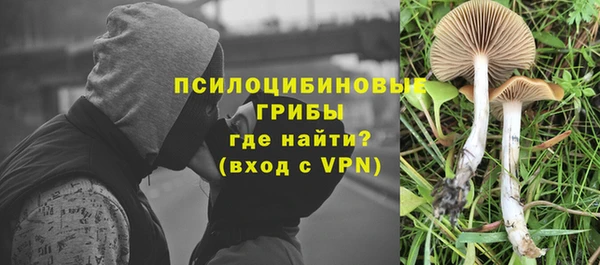 трава Дмитров