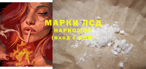 стафф Дмитриев