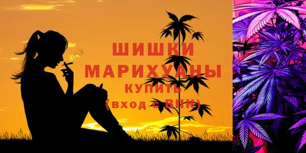 spice Гусиноозёрск