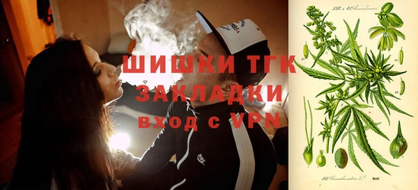 индика Гусь-Хрустальный