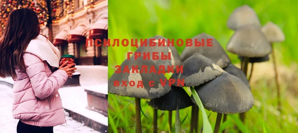 спиды Дмитровск