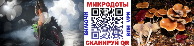 omg рабочий сайт  Дегтярск  Галлюциногенные грибы Magic Shrooms 